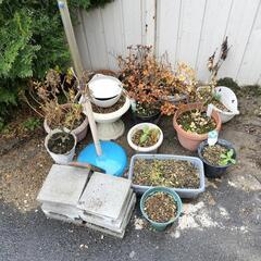 ガーデニング用 植木鉢 屋外観葉植物 花鉢
