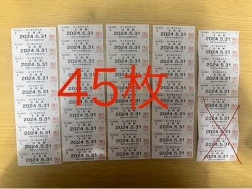 神奈川中央交通　株主優待乗車券４５枚セット