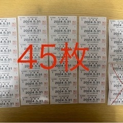 神奈川中央交通　株主優待乗車券４５枚セット