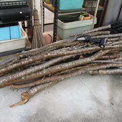★売却済み★木　薪　２月伐採の生木　桜の枝