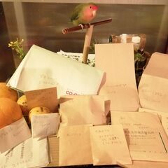 種の交換会＆物々交換市　Organic Vegetables’ Seed Exchange & Barter Market　@奈良県生駒市 Ikoma, Naraの画像