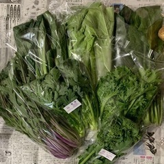 24日25日ピエリ守山近くの自宅にてお野菜販売します！！