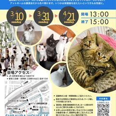 3/10(日)みなとねこ保護猫譲渡会＠東京芝浦