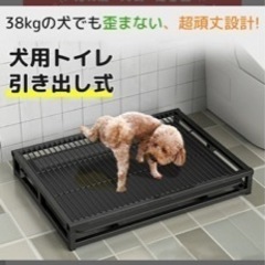 大幅値下げ✨️犬 猫 動物 トレーニングトイレ 特大 Lサイズ