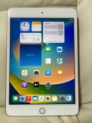 極美品　iPad mini 第5世代 64GB Wi-Fi+セルラーモデル　SIMフリー