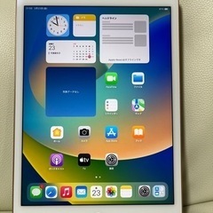 極美品　iPad mini 第5世代 64GB Wi-Fi+セル...