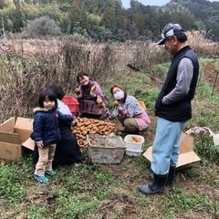 越冬無農薬じゃがいも0円プレゼント🎁先着20名様