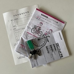 ジュニア用自転車 ブリヂストン シュライン SCHLEIN 24インチ