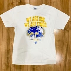 琉球ゴールデンキングス　昨シーズンTシャツ　Mサイズ