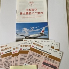さらにお値引き中！JAL株主優待券 10枚