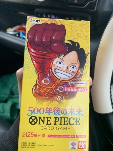 500年後の未来　ワンピース