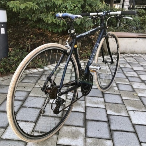 SHAULA シャウラ Y 