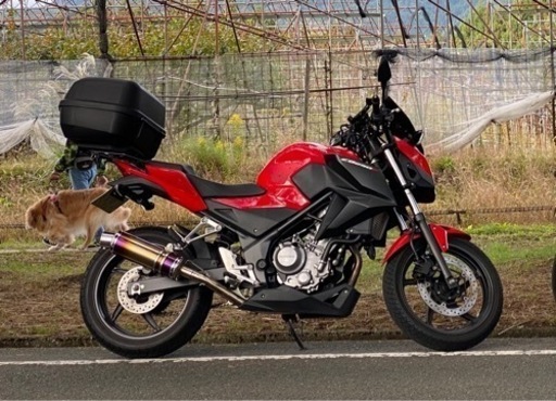 CB250F機関良好