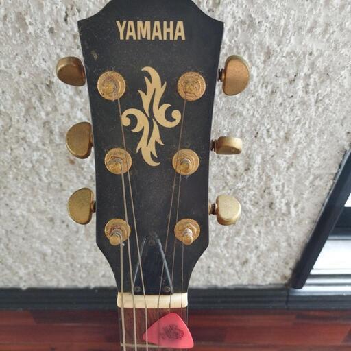 YAMAHA　APX-6A