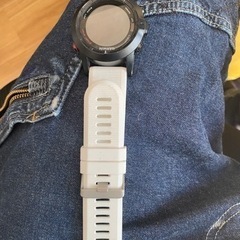 GARMIN FENIX2J