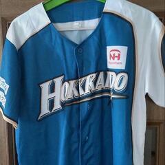 We Love Hokkaido 2014 ユニフォーム