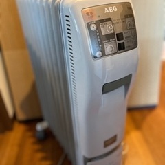 お値下Electrolux エレクトロラックス　日本製　AEGオ...