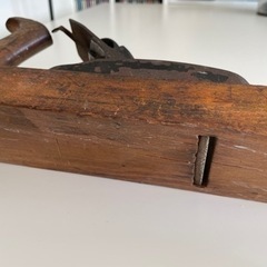 アメリカのカンナ　大