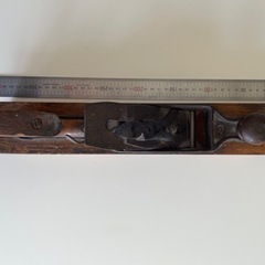 アメリカのカンナ　大