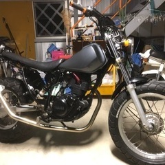 ヤマハ　TW200 実働　スカチューン