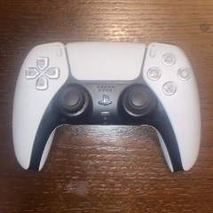 PS5 Game Controller
