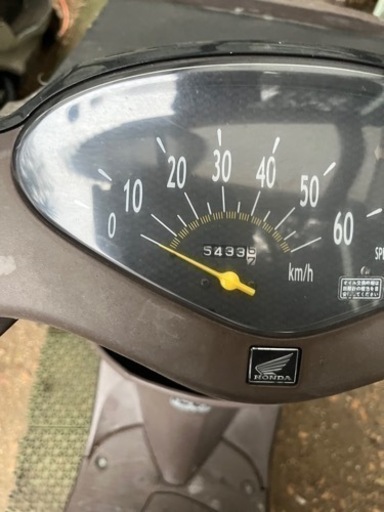 ホンダディオチェスタ 50cc