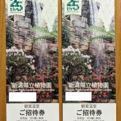 新潟県立植物園の招待券2枚セット