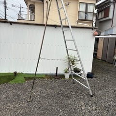 取引中　アルミ剪定用脚立