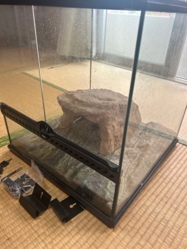 爬虫類ゲージ（EXOTERRA）✨付属で色々付いてます