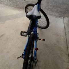 LOUIS GARNEAU　マウンテンバイク