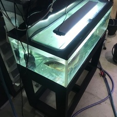 お譲り先決定‼️ アロワナストック水槽‼️ 900水槽セット　上部フィルターデカめです‼️