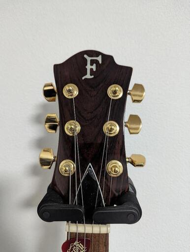 フェルナンデス MG-100X HIDEモデル FERNANDES MG-100X アメーバ