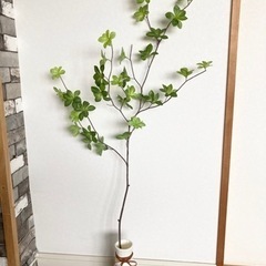 ドウダンツツジ 観葉植物 フェイクグリーン