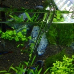 お取引中🌟アクアリウム🐠まとめて込み込み✨