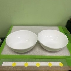 0225-094 お皿2個セット