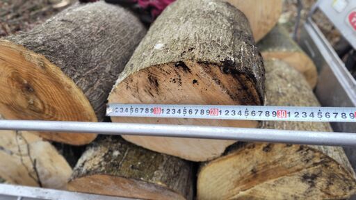 薪玉切り生長さ35～70㎝【軽トラ１台分】