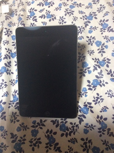 iPad第5世代64GB iPad mini
