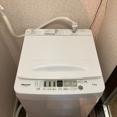 Hisense ハイセンス 全自動電気洗濯機 洗濯機 HW-E5504