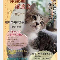 岐阜市保護猫譲渡会の画像