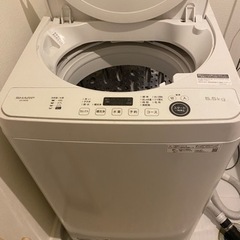 2021年製 5.5L洗濯機【美品】
