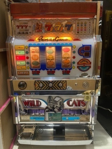 ★激レア3号機★【アークテクニコ】ワイルドキャッツ