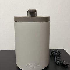 ドウシシャ 加湿器 mistone600s スチーム式 加熱式