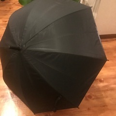 黒の傘