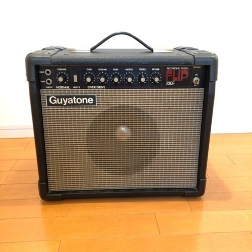 アンプ GuyatoneFLIP300F