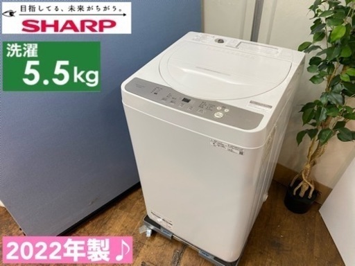 I670   2022年製♪ SHARP 洗濯機 （5.5㎏） ⭐ 動作確認済 ⭐ クリーニング済