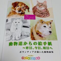 (新品本）保護猫保護犬活動に興味ある方に「動物達からの絵手紙」