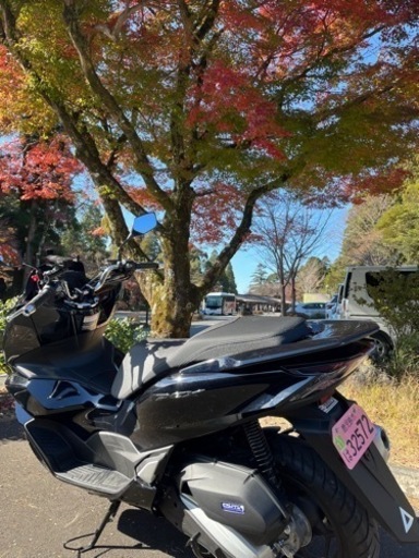 PCX125 2023年式　走行距離500キロ　車両交換希望