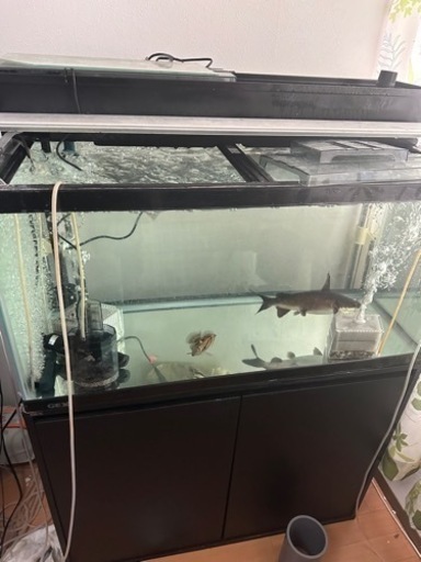 90規格水槽決まりました - その他 