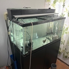 90規格水槽決まりました