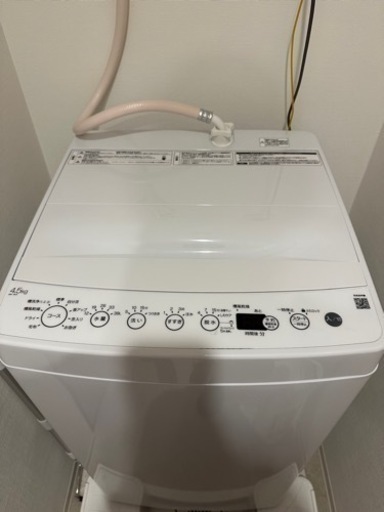 家電 生活家電 洗濯機